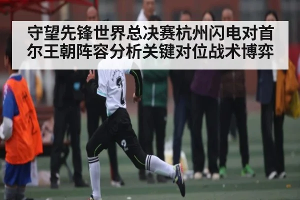 守望先锋世界总决赛杭州闪电对首尔王朝阵容分析关键对位战术博弈
