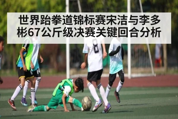 世界跆拳道锦标赛宋洁与李多彬67公斤级决赛关键回合分析